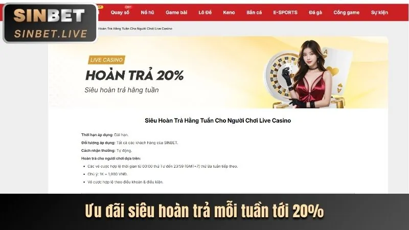 Tổng quan các chương trình ưu đãi đa dạng của tydo88